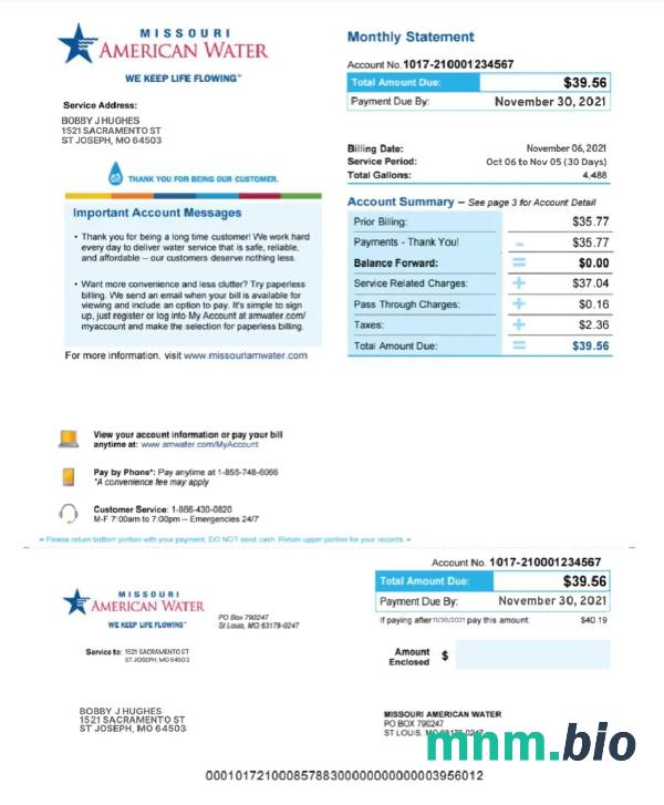 USA MISSOURI AMERICAN Water rachunek za media Word i PDF template